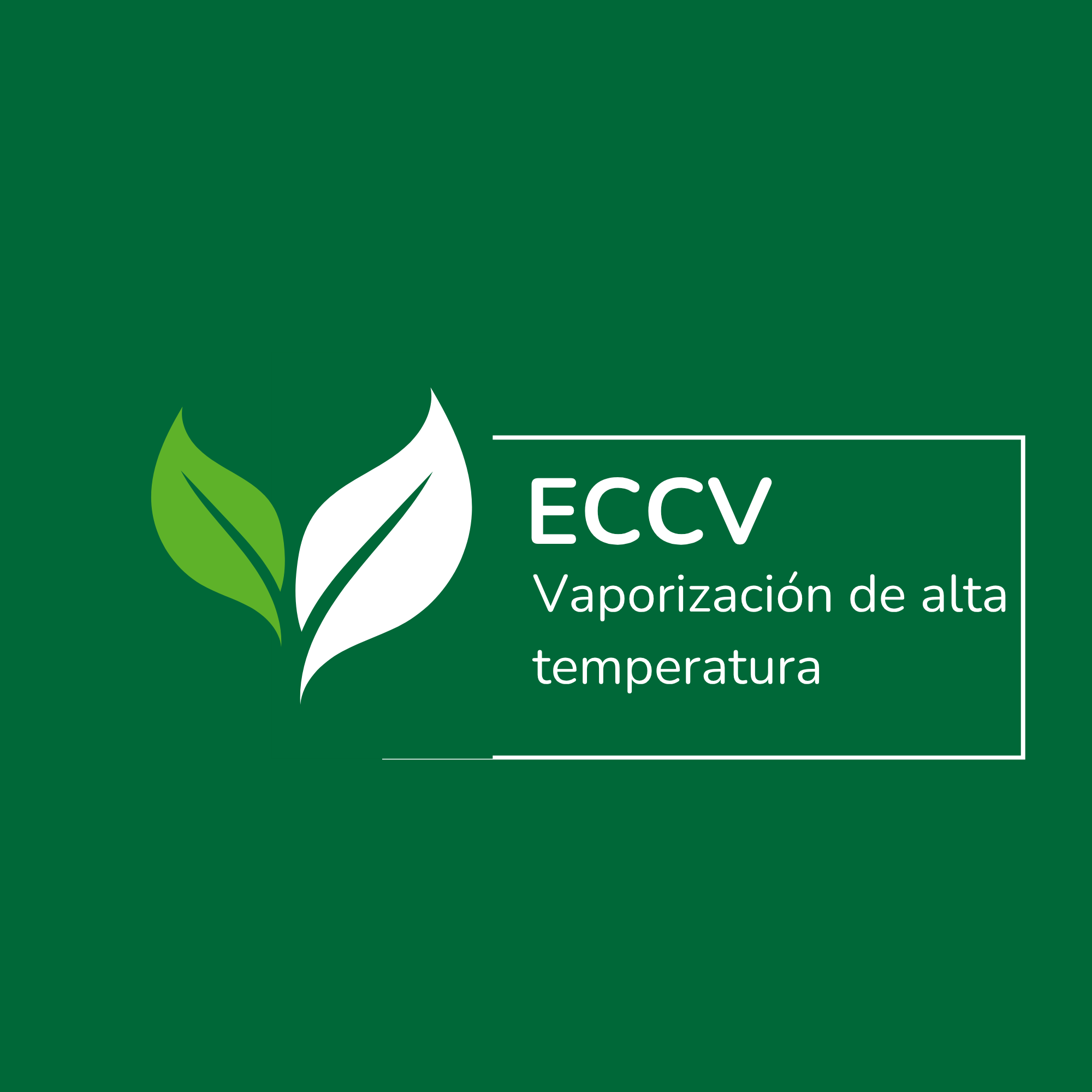 Eliminación de Chinches de Cama con Vapor